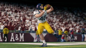brandon-carr